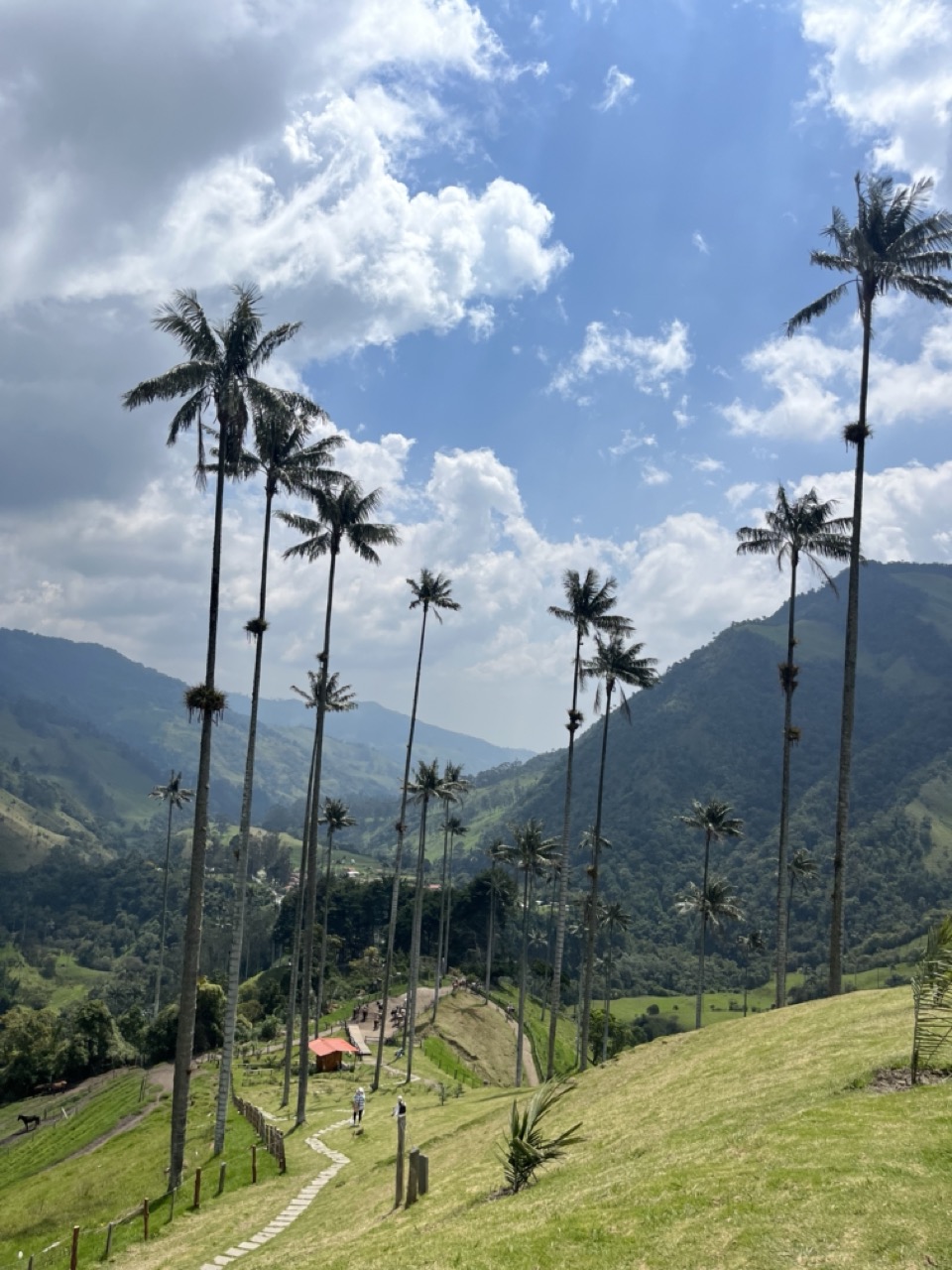 Colombia